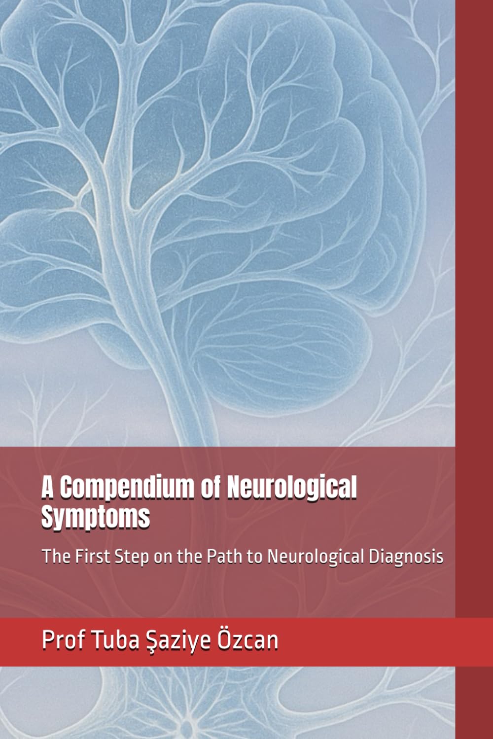 A Compendium of Neurological Symptoms: The First Step on the Path to Neurological Diagnosis