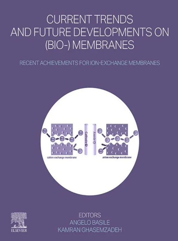 Current Trends and Future Developments on (Bio-) Membranes: Recent Achievements for Ion-Exchange Membranes