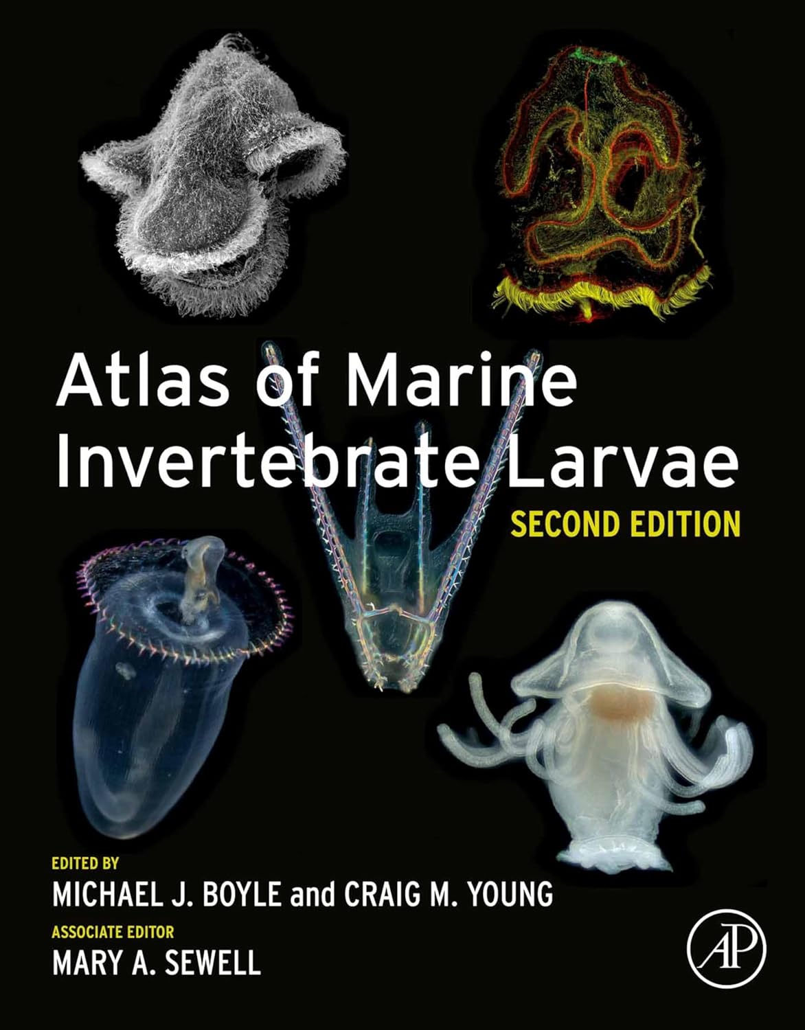 Atlas of Marine Invertebrate Larvae 2nd Edition