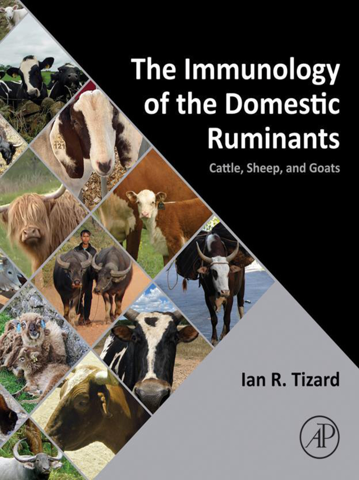 The Immunology of the Domestic Ruminants: Cattle, Sheep, and Goats