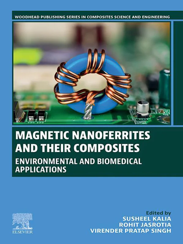 Magnetic Nanoferrites and their Composites: Environmental and Biomedical Applications