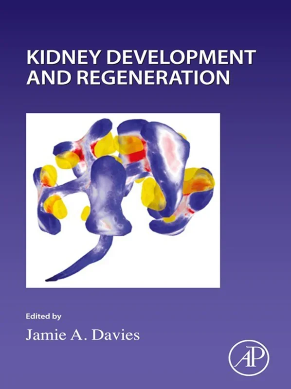 Kidney Development and Regeneration
