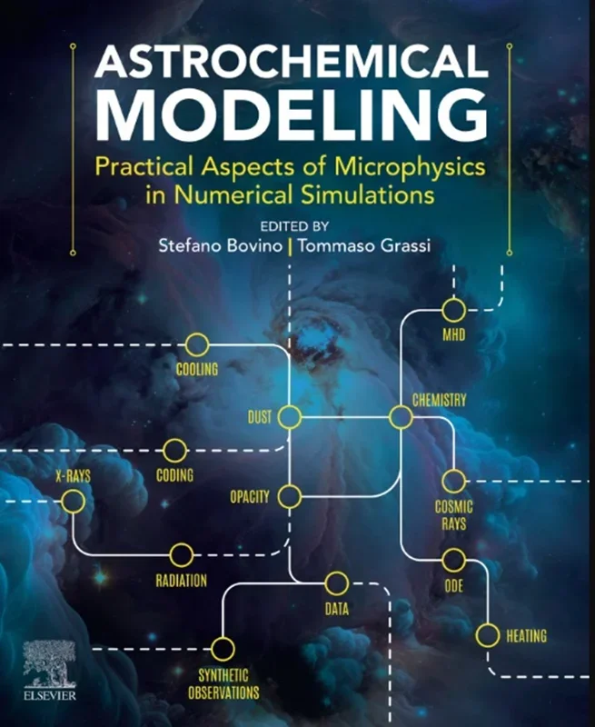 Astrochemical Modeling: Practical Aspects of Microphysics in Numerical Simulations