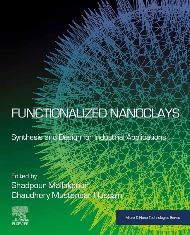 Functionalized Nanoclays: Synthesis and Design for Industrial Applications
